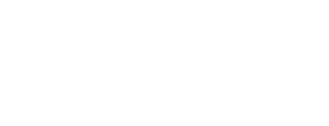 The Visionlink Advisory Group The Visionlink Advisory Group