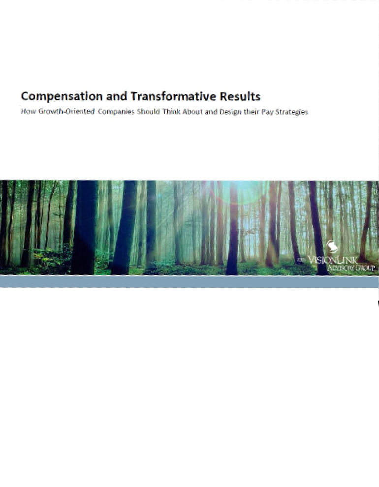 compensation-consultants-and-transformative-results-cover